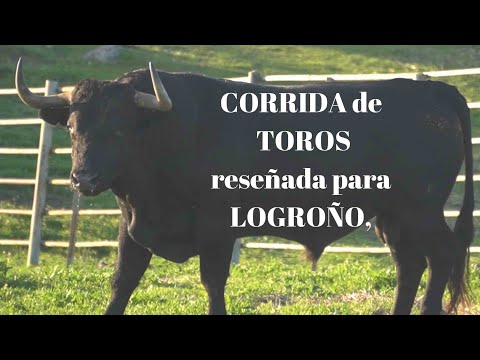 CORRIDA de TOROS de VICTORINO MARTÍN reseñada para PLAZA DE TOROS de LOGROÑO