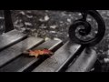 ♫ Lin Hai - Wings of Silence (Las estaciones del Alma) V&D
