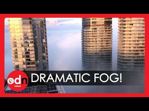 Spectacular Blanket of Fog Leaves City of Toronto Invisible