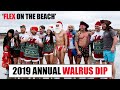 FLEX ON THE BEACH - Walrus Dip 2019