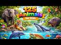 125 Animals For Kids Learn Wild Animal Names And Fun Facts