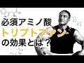 必須アミノ酸のトリプトファンが筋肉に与える良い効果とは