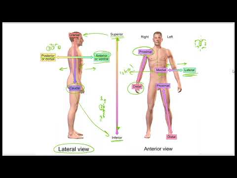 1411 01 Ch 01 Introduction & Oral Cavity Proper