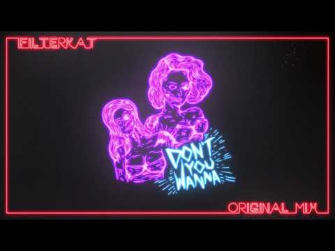 Filterkat - Don't You Wanna (Original Mix)