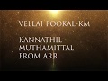 A R Rahman Vellai Pookal Lyrics HD AUDIO