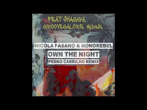 Nicola Fasano ft Shaggy & Honorebel "Own The Night" (PEDRO CARRILHO REMIX)