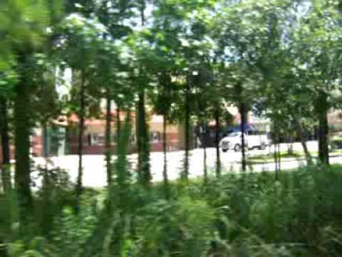 Cinemark Tinseltown 17 and XD Video 1