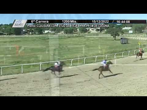 CARRERAS SINT COLONIA 221215 c06 - 1° LE BON GEANT