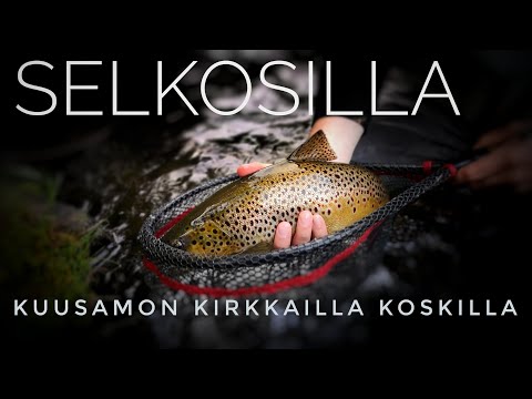 Kuusamon kirkkailla koskilla | Selkosilla