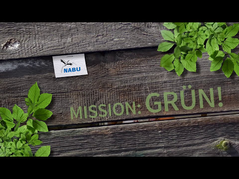 Vogelfutter selbst herstellen