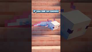 Download lagu There's an AXOLOTL on the Pink Stairs #shorts mp3 Download lagu There's an AXOLOTL on the Pink Stairs #shorts mp3