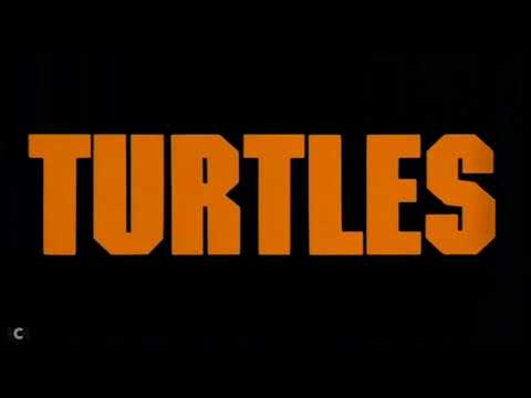 WU-tang - TMNT