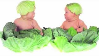 Savez-vous planter les choux ? (Comptine officiel)