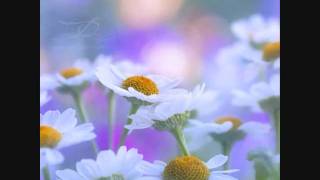 Blumentopf - Was der Handel