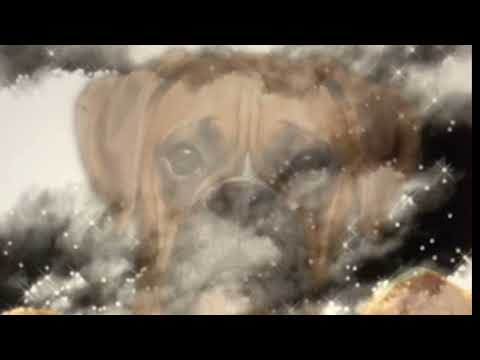 Dj Schinkensuppe - Lonely