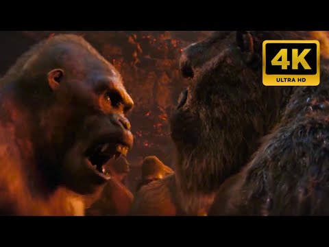 Kong Punches An Ape Scene In 4K | Godzilla x Kong: The New Empire