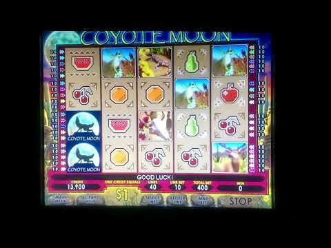 Coyote Moon Slots   Hitting a $1850 Jackpot