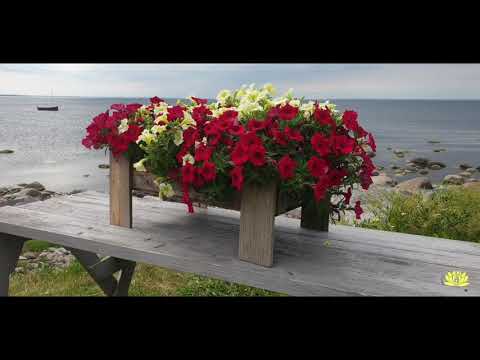 Joyful walk in Estonia Viimsi open air museum, wonderful sea view and amazing place☀️☀️☀️