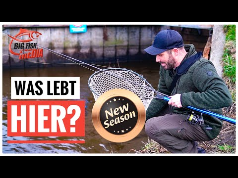 Welche Fische leben unter dieser Brücke? - Unterwegs mit Christian