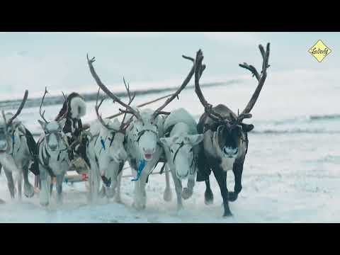 Destination highlight video