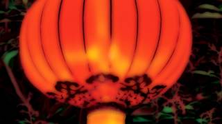 The Freedom Sounds Featuring Wayne Henderson - Behold The Day (Cinematic Orchestra Late Night Tales)