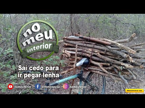 Sai cedo para pegar lenha do outro lado do rio - 29/12/2022 #quintafeiranomeuinterior