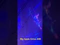 Big Apple Circus 40 Shorts Youtubeshorts Circus Animal Yt Lincolncenter Joker Fun Acrobat