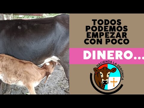 TODOS PODEMOS EMPEZAR CON POCO DINERO