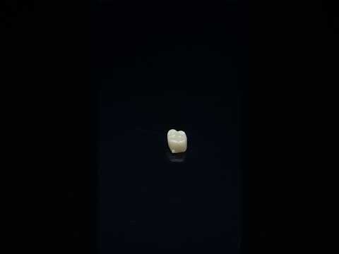 YouTube 썸네일