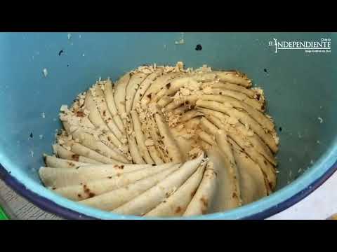 Tacos de pescado en La Paz #BCS