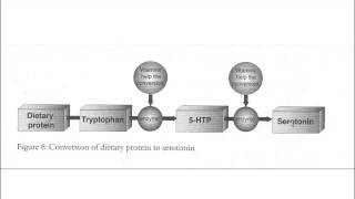 Self Help - Anxiety  Depression Panic - Understanding The Body Chemistry