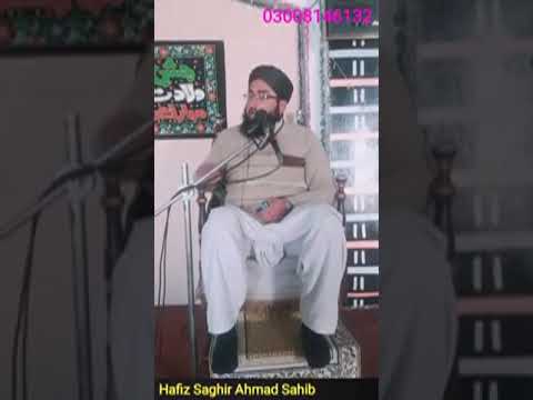Qari Hafiz Saghir Ahmad Rizvi Sahib