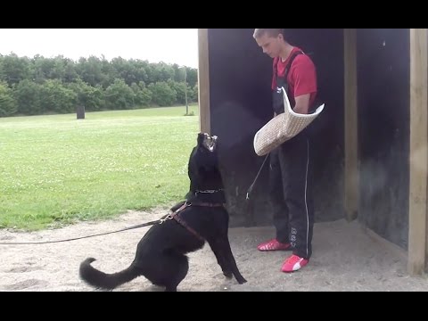 Training in Denmark - 17. - 19.7.2015