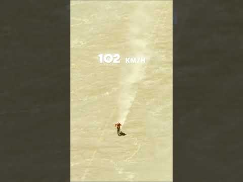 Speed World Record- Mountain Bike Downhill