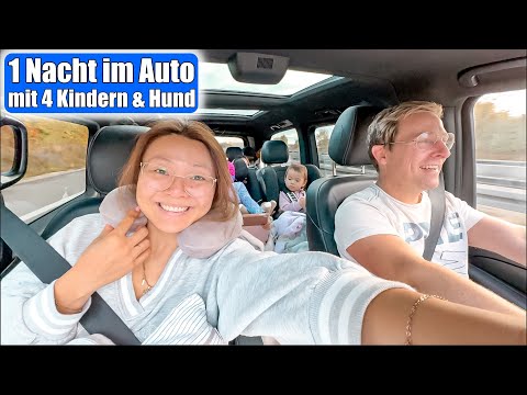 12 Stunden Auto fahren & übernachten mit 4 Kindern & Hund 😳 Ab in den Familien Urlaub! Mamiseelen