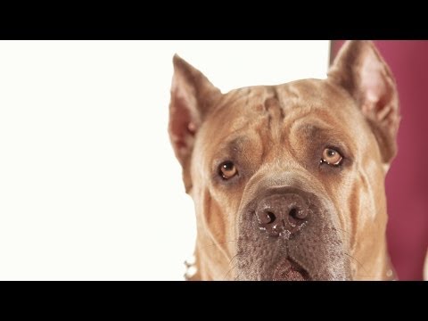 Keem - Skeezas N Keesha Ft. Sag Live, City Spud & Murphy Lee (Explicit)