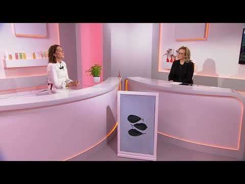 Les Studios d'Armenonville