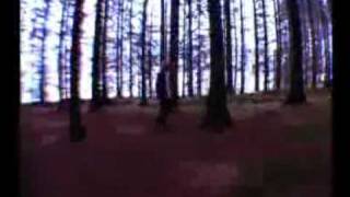 super furry animals-For Now And Ever video.avi