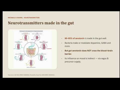The Gut Brain Axis: The Food Mood Connection | Ms. Pariksha Rao