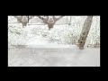 Sunny Leone Hot X Scenes Ll Sunny Leone New Videos