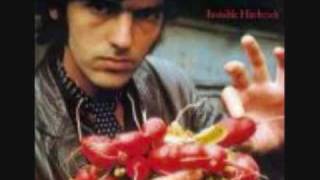 Robyn Hitchcock &amp; The Egyptians  - Falling Leaves 12&quot; B-side - 1984