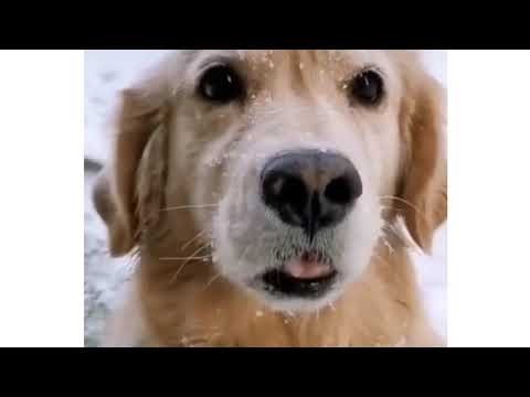 Unexpected videos that saves your times | 131216 | streetcan