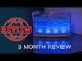 Best Ant Farm For Kids Ant Farm For Beginners Ant Dreamworks Review