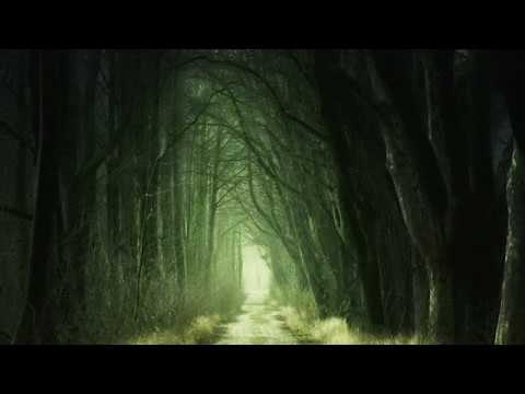 NOU!!! Fratii Strugariu - Domnul e Pastorul meu (ALBUM 2018)