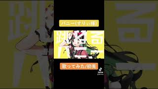 - 【ウサギ好きが】バニー/すりぃ様 【歌ってみた】【いれいす】