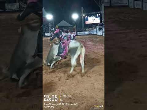 Rio Branco Mato Grosso. 36 EXPORIO. Rodeio. #rodeiobrasil #rodeios