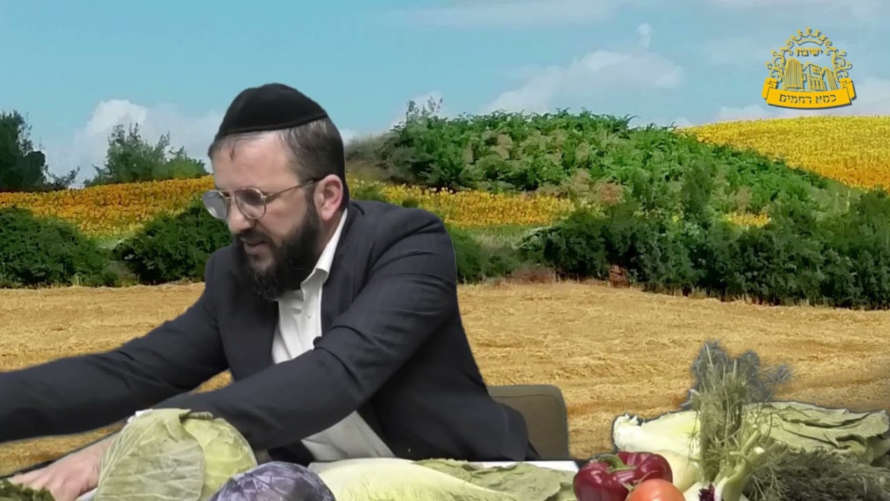 ההכשרה בפועל – הדרכה מותאמת לפי סוג הירק | כשרות למהדרין | הרב חננאל כהן