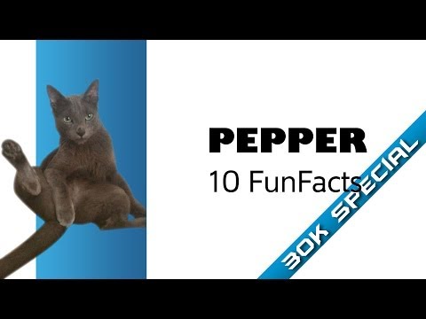 30K Special - Funfacts - Pepper (Top10, Ciekawostki)
