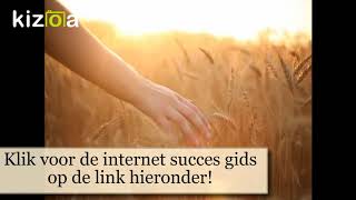 De internet succes gids!
