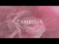Camellia (Full Version) Steve Hunter